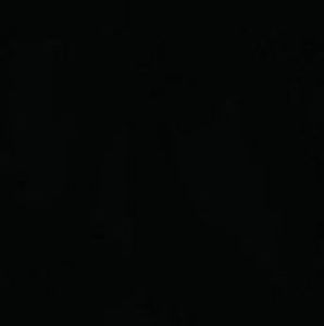 Meet your Posher, Melani moreno